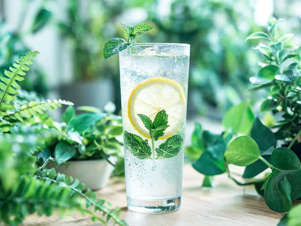 Everyday Habits That Support a Healthy Liver