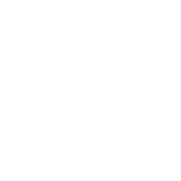 Lack of Energy & Fatigue